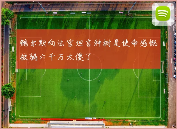 鲍尔默向法官坦言种树是使命感慨被骗六千万太傻了