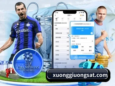 雷火体育官网登录入口 APP
